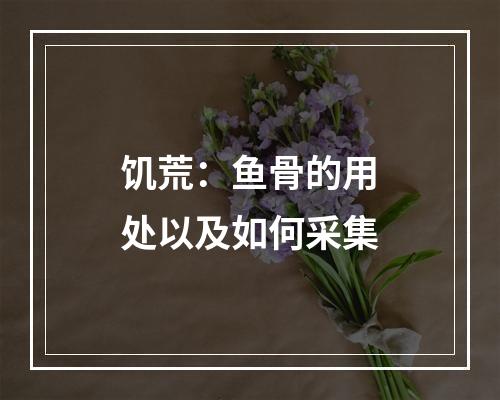 饥荒：鱼骨的用处以及如何采集