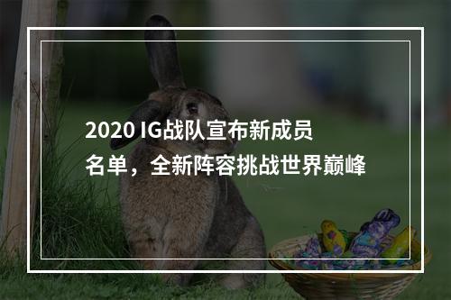 2020 IG战队宣布新成员名单，全新阵容挑战世界巅峰