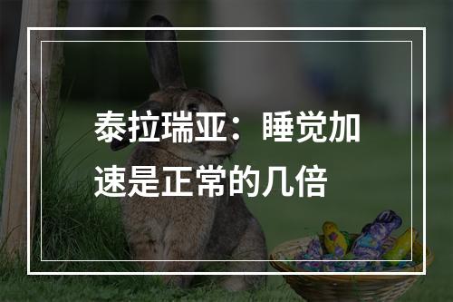 泰拉瑞亚：睡觉加速是正常的几倍