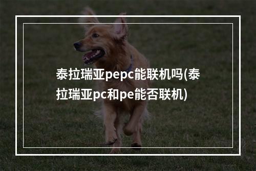 泰拉瑞亚pepc能联机吗(泰拉瑞亚pc和pe能否联机)