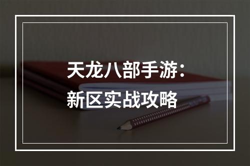 天龙八部手游：新区实战攻略