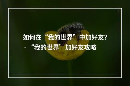 如何在“我的世界”中加好友？ - “我的世界”加好友攻略