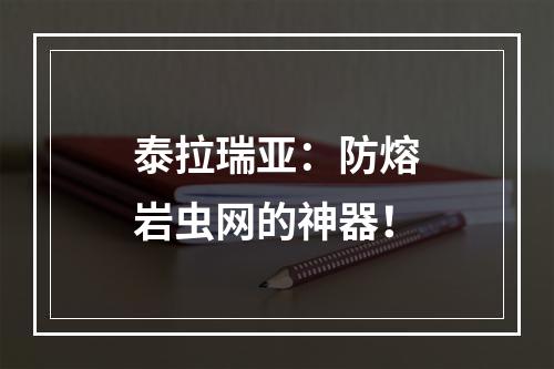 泰拉瑞亚：防熔岩虫网的神器！