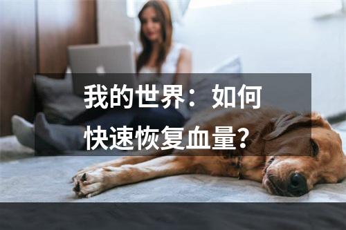 我的世界：如何快速恢复血量？