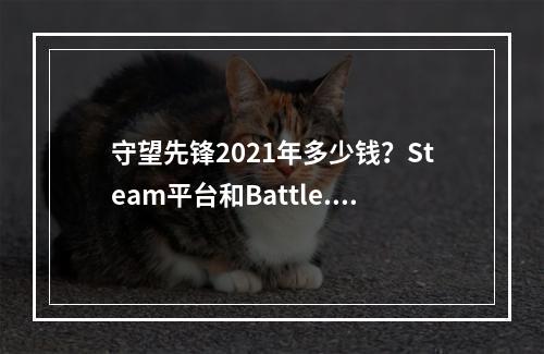 守望先锋2021年多少钱？Steam平台和Battle.net平台资费详解