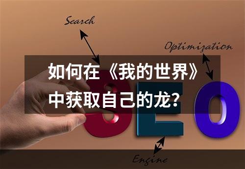 如何在《我的世界》中获取自己的龙？