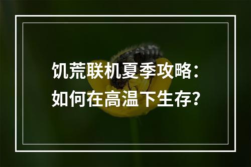 饥荒联机夏季攻略：如何在高温下生存？