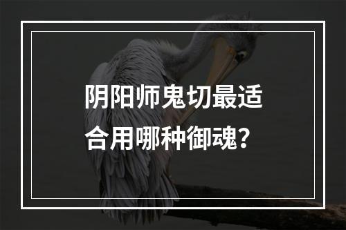 阴阳师鬼切最适合用哪种御魂？