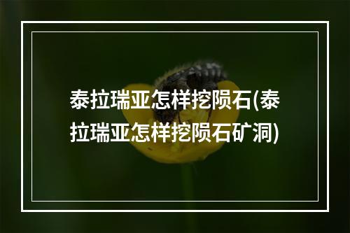 泰拉瑞亚怎样挖陨石(泰拉瑞亚怎样挖陨石矿洞)