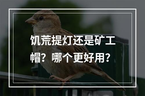 饥荒提灯还是矿工帽？哪个更好用？