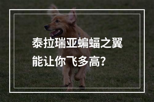 泰拉瑞亚蝙蝠之翼能让你飞多高？