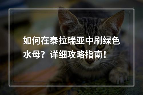 如何在泰拉瑞亚中刷绿色水母？详细攻略指南！