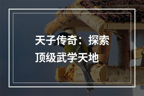 天子传奇：探索顶级武学天地