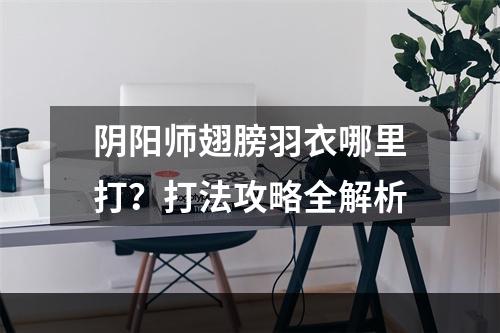 阴阳师翅膀羽衣哪里打？打法攻略全解析