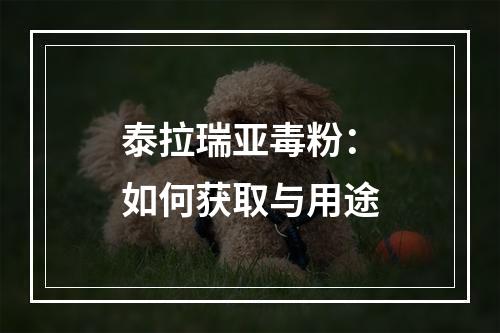 泰拉瑞亚毒粉：如何获取与用途