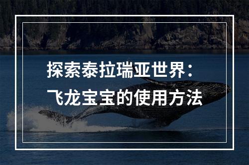 探索泰拉瑞亚世界：飞龙宝宝的使用方法