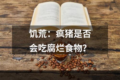 饥荒：疯猪是否会吃腐烂食物？