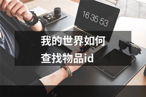 我的世界如何查找物品id