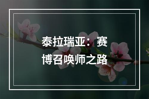 泰拉瑞亚：赛博召唤师之路