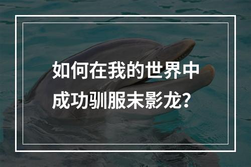 如何在我的世界中成功驯服末影龙？