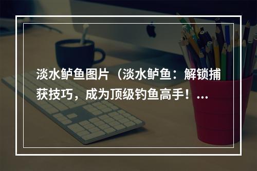 淡水鲈鱼图片（淡水鲈鱼：解锁捕获技巧，成为顶级钓鱼高手！）