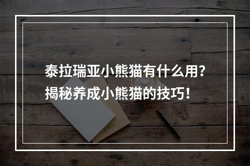 泰拉瑞亚小熊猫有什么用？揭秘养成小熊猫的技巧！