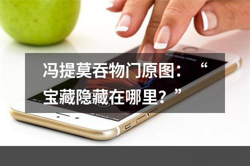 冯提莫吞物门原图：“宝藏隐藏在哪里？”