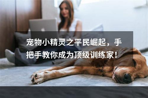 宠物小精灵之平民崛起，手把手教你成为顶级训练家！