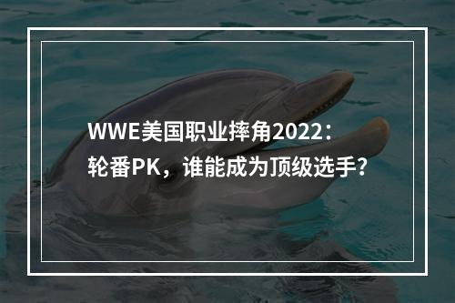 WWE美国职业摔角2022：轮番PK，谁能成为顶级选手？