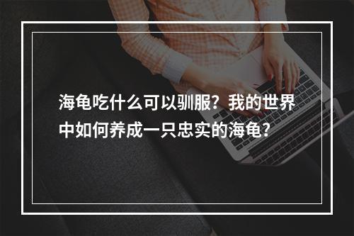 海龟吃什么可以驯服？我的世界中如何养成一只忠实的海龟？