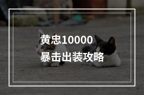 黄忠10000暴击出装攻略