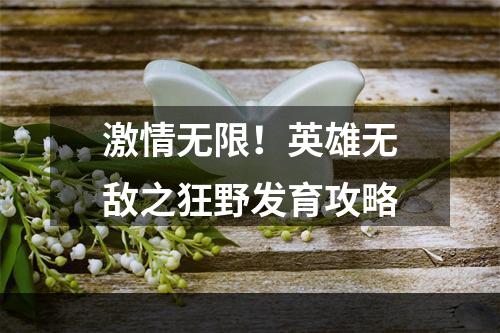 激情无限！英雄无敌之狂野发育攻略