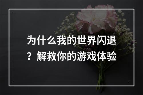 为什么我的世界闪退？解救你的游戏体验