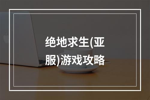 绝地求生(亚服)游戏攻略