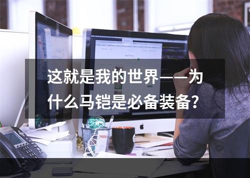 这就是我的世界——为什么马铠是必备装备？