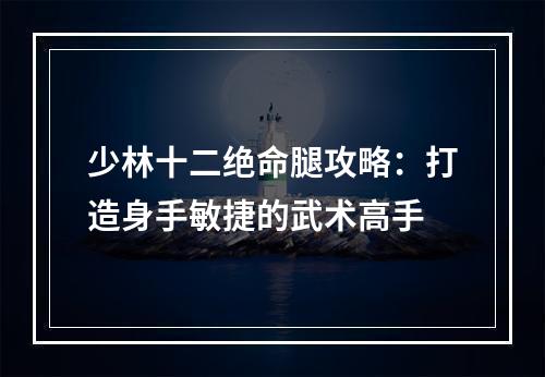 少林十二绝命腿攻略：打造身手敏捷的武术高手