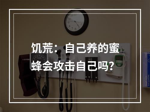 饥荒：自己养的蜜蜂会攻击自己吗？