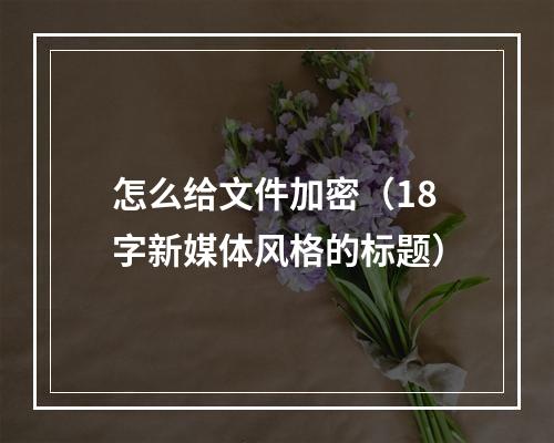 怎么给文件加密（18字新媒体风格的标题）