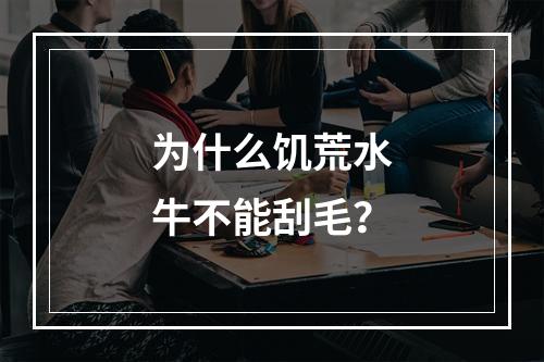 为什么饥荒水牛不能刮毛？