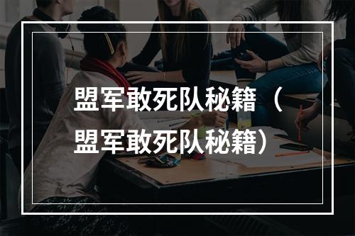 盟军敢死队秘籍（盟军敢死队秘籍）