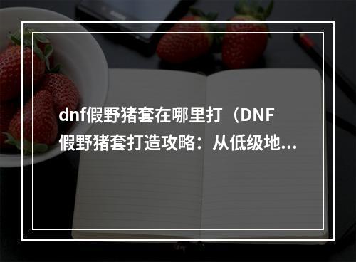 dnf假野猪套在哪里打（DNF假野猪套打造攻略：从低级地图到高级BOSS，板甲玩家必看！）