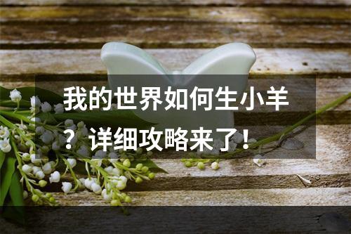 我的世界如何生小羊？详细攻略来了！