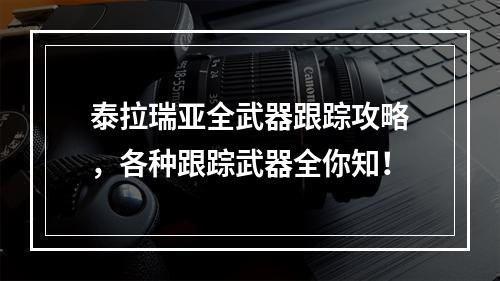 泰拉瑞亚全武器跟踪攻略，各种跟踪武器全你知！