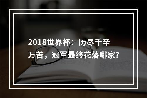 2018世界杯：历尽千辛万苦，冠军最终花落哪家？