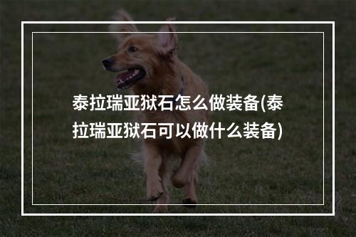 泰拉瑞亚狱石怎么做装备(泰拉瑞亚狱石可以做什么装备)