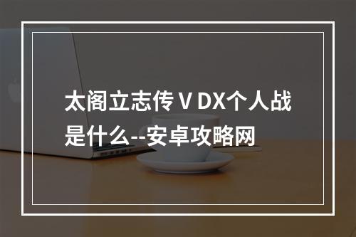 太阁立志传ⅤDX个人战是什么--安卓攻略网