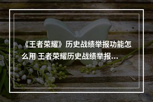 《王者荣耀》历史战绩举报功能怎么用 王者荣耀历史战绩举报方法--安卓攻略网