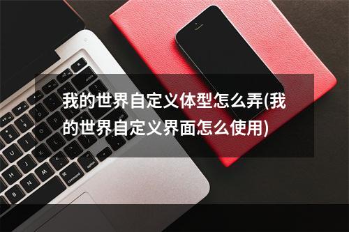 我的世界自定义体型怎么弄(我的世界自定义界面怎么使用)