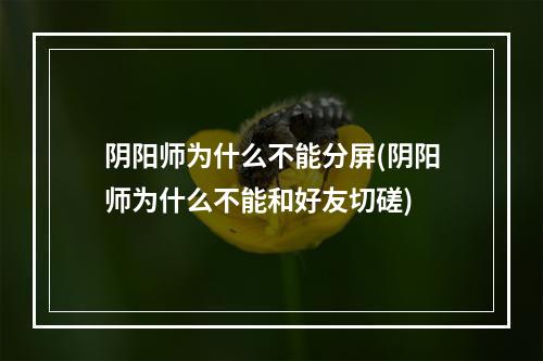 阴阳师为什么不能分屏(阴阳师为什么不能和好友切磋)