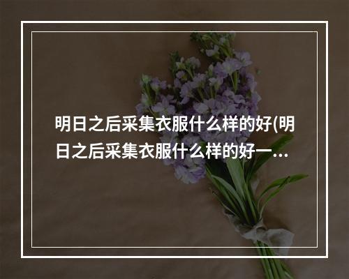 明日之后采集衣服什么样的好(明日之后采集衣服什么样的好一点)